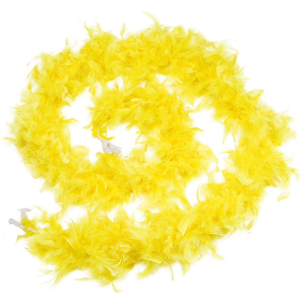 Lot De 2 Rubans Boa En Plumes Blanches - 2 M Chacun, Largeur 47 Mm | Décoration Noël, Mariage, Déguisement, Danse