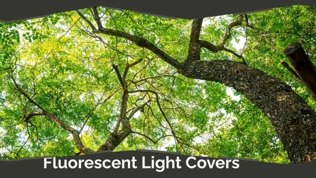 Image of Fluorescent Light Covers for Classroom Office - Eliminate Harsh Glare Causing Eyestrain and Headaches. School-Office-Indoor Ceiling Lamp DecorationGiant Trees