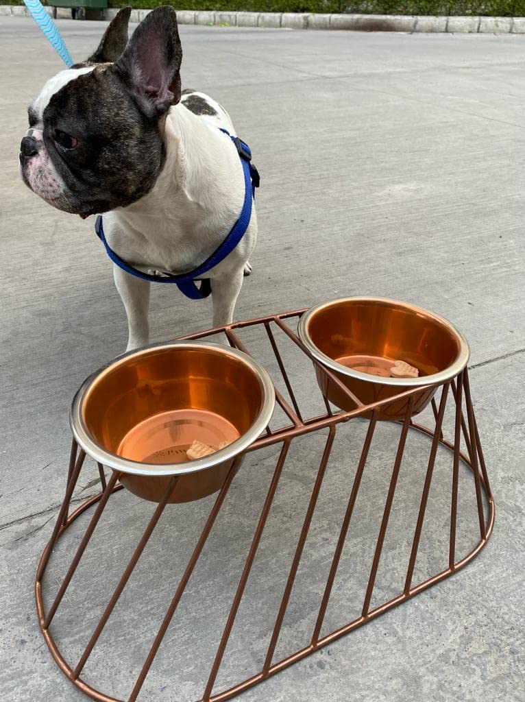 Miniature/Toy Breed Dog Bowl Cat Bowl Food & Water Double Bowl Raised Stand - 8 inch Height in 950 ML Each Bowl | Elevated Feeder | Heavy Steel, Sturdy (B0BH2WD72C) Amazon Price History, Amazon Price Tracker