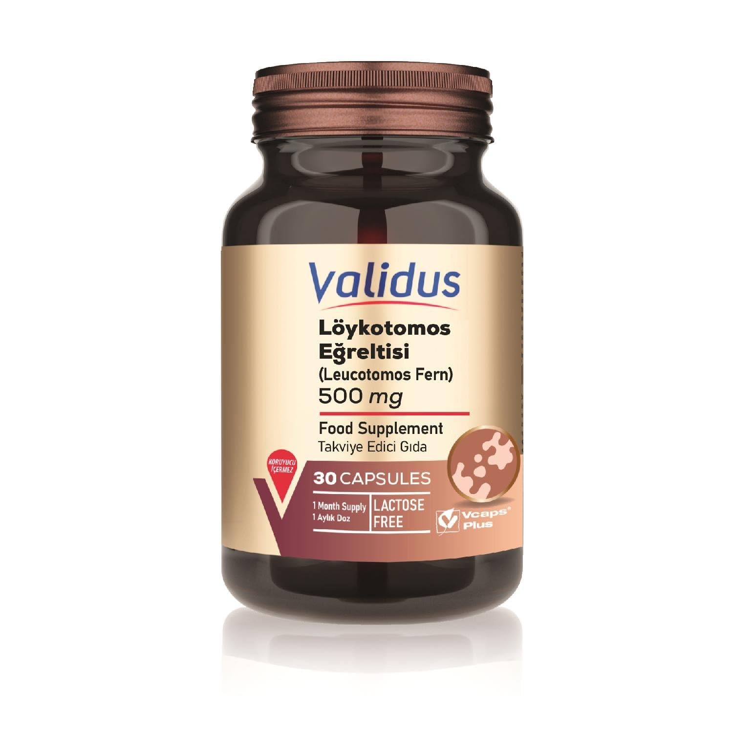 Validus Löykotomos Fern 500 mg + Astaksantin 20 mg 30 Capsules