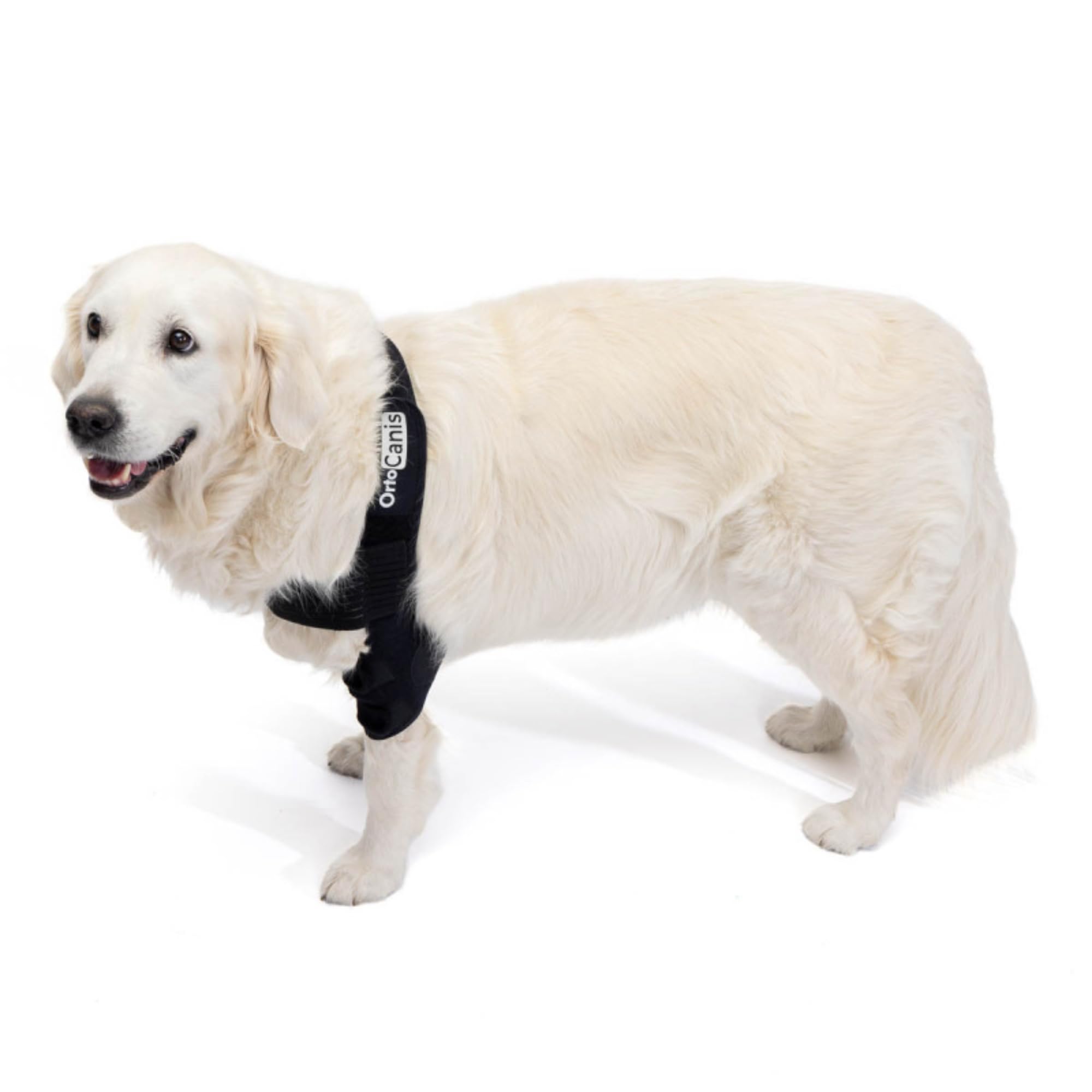 Ortocanis - Ortesis de Codo para Perros con Artritis de Codo, Higromas o Dislocación de Hombro, Talla M