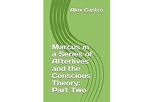 Marcus in a Series of Afterlives and the Conscious Theory: Part Two
