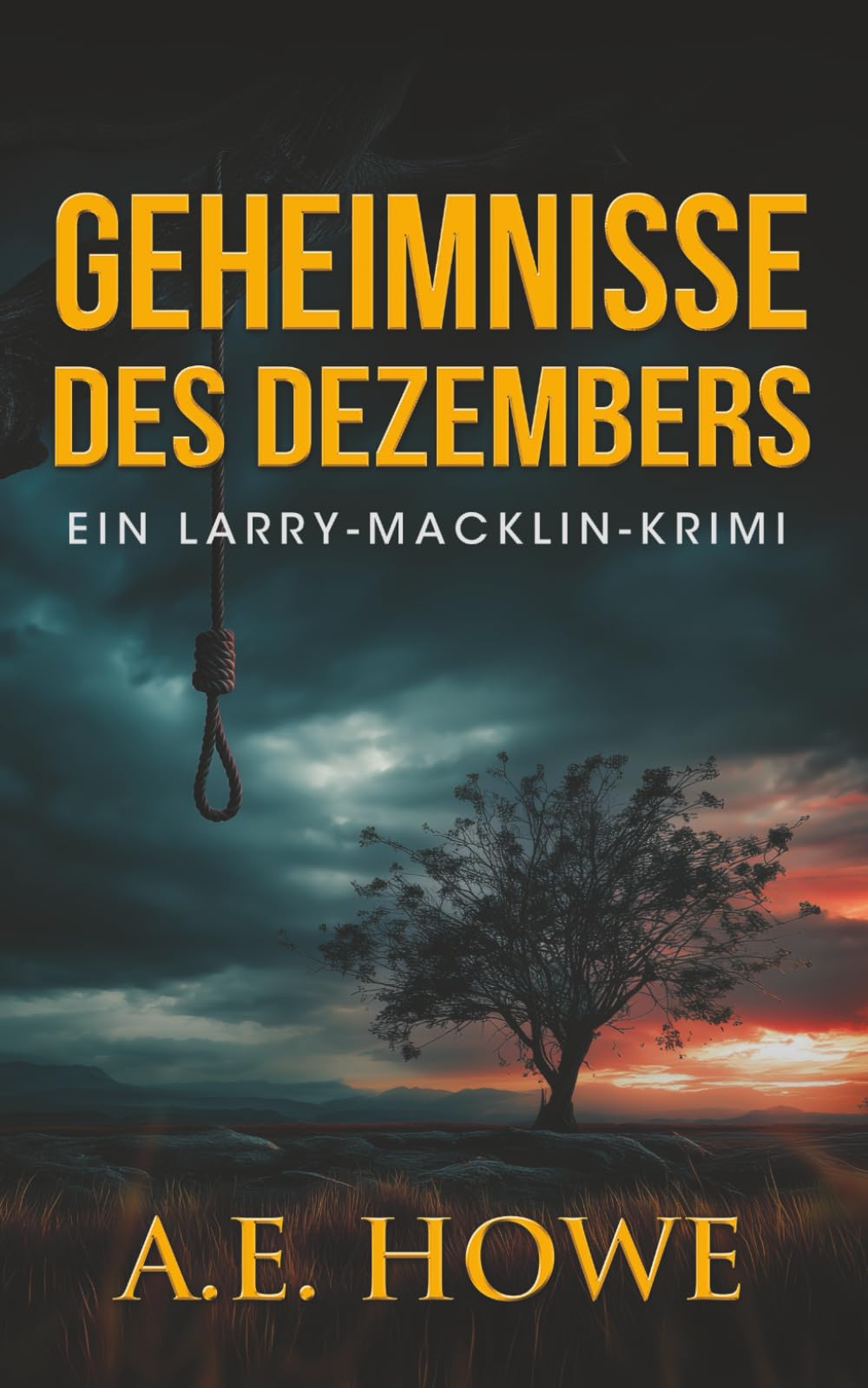 Geheimnisse des Dezembers (Ein Larry-Macklin-Krimi)
