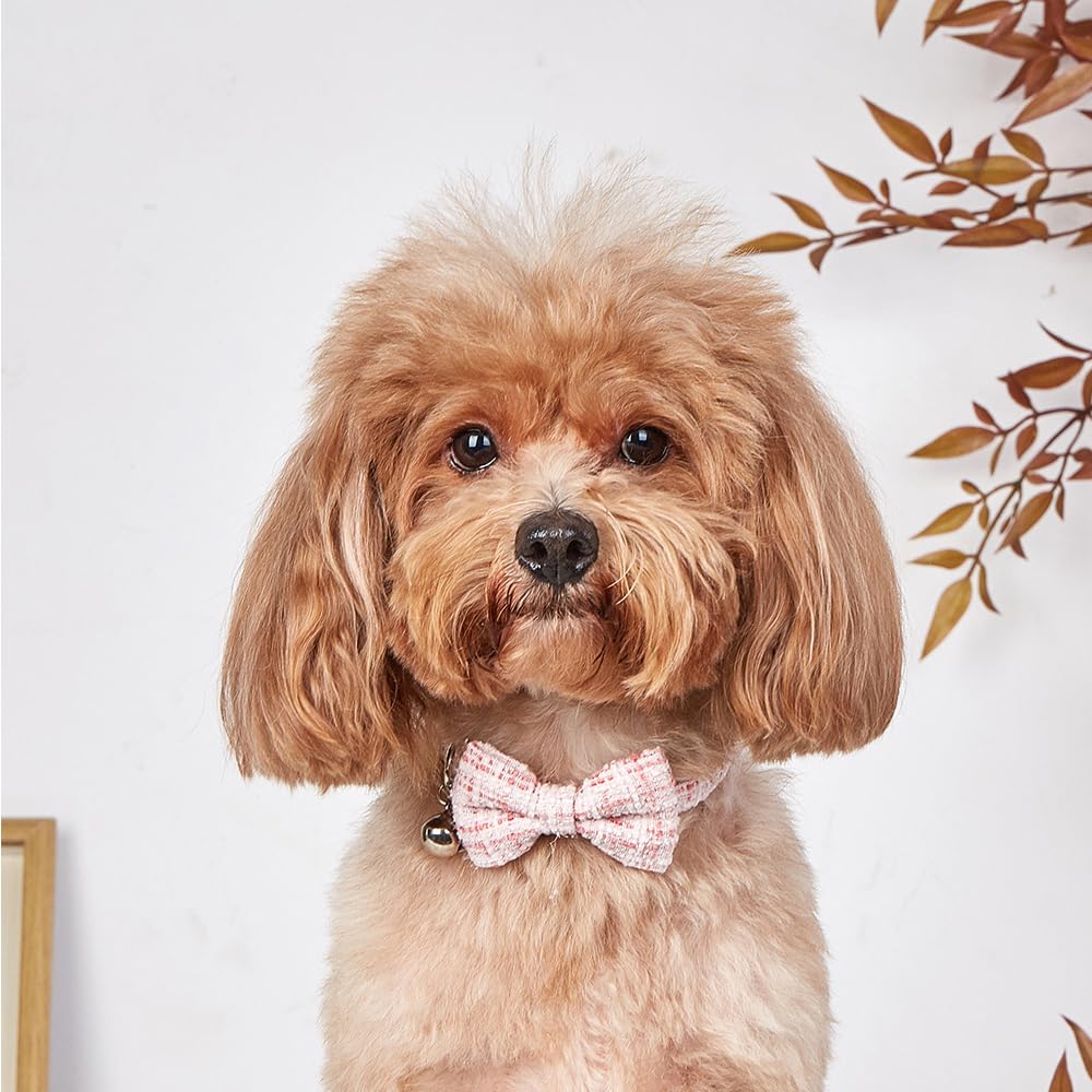 FUNAT Checkered Cat Collar, Pet Tie Safety Buckle Bow Decoration, Detachable Collar Suitable for Cats With Bells - Image 4