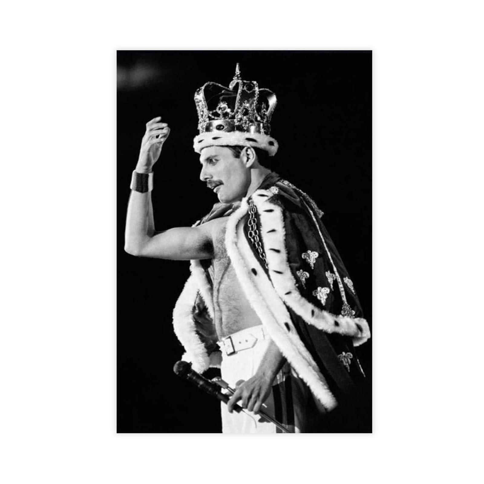 ETOMEY Freddie Mercury Music Poster Canvas Poster Wall Art Decor Print Picture Paintings for Living Room Bedroom Decoration Unframe-style 12x18inch(30x45cm)