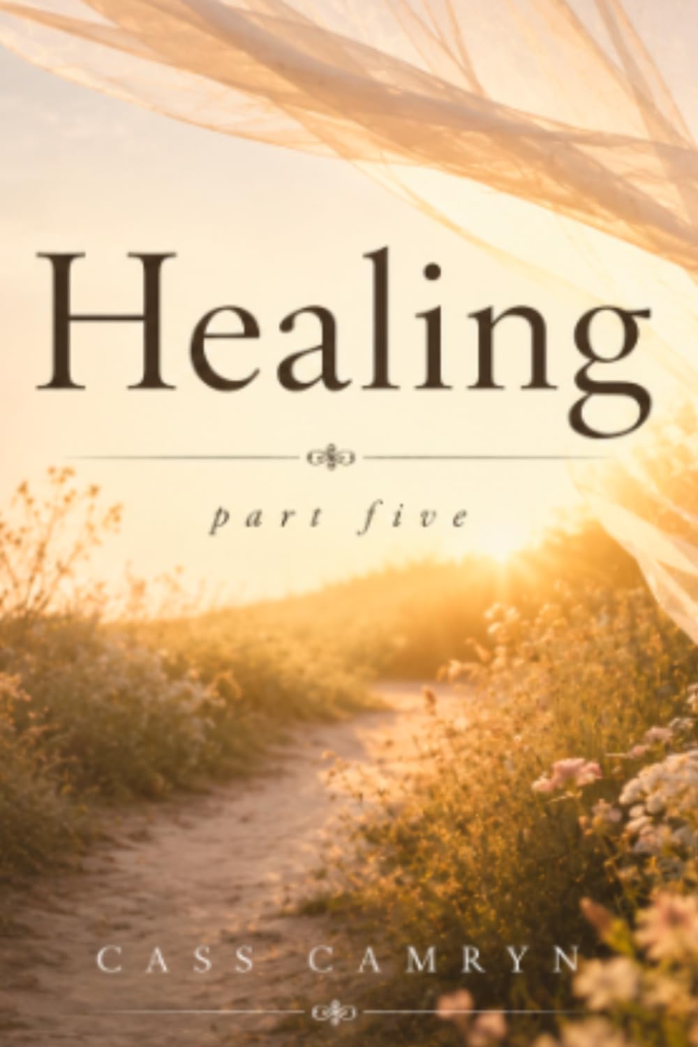 Healing: Part Five (Love I Leave Behind)
