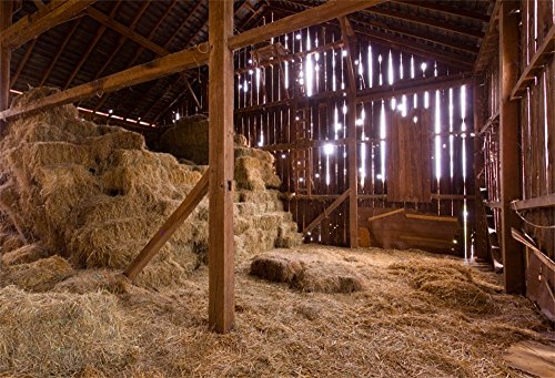 OFILA Nativity Barn Backdrop 12x10ft Hay Bale Background Christmas Nativity Scene Photography Background Jesus Backdrop Christmas Play Photos Backdrop Bible School Events Backdrop Xmas Video Photos