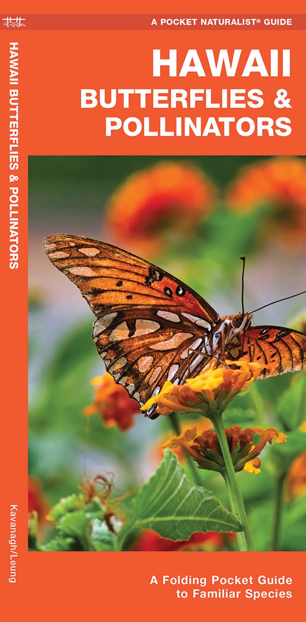 Hawaii Butterflies & Pollinators: A Folding Pocket Guide to Familiar Species (Nature Observation North America)