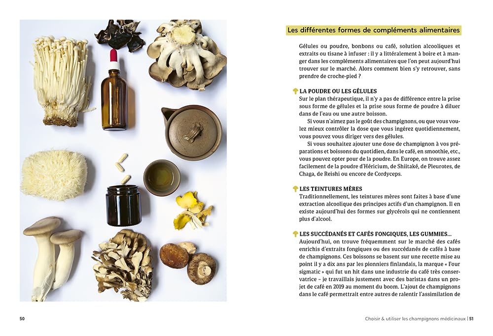 Guide des champignons médicinaux - 30 champignons incontournables - Les bienfaits pour la santé et le bien-être