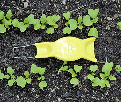 Preisvergleich Produktbild Jätefaust Lucko Gelb von Bobby-Seeds