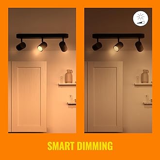 WiZ Tunable White Imageo Smart Connected WiFi Ceiling Light Spot Fixture. [3 Spot - Black] App Control for Indoor Home Lighting, Livingroom and Bedroom