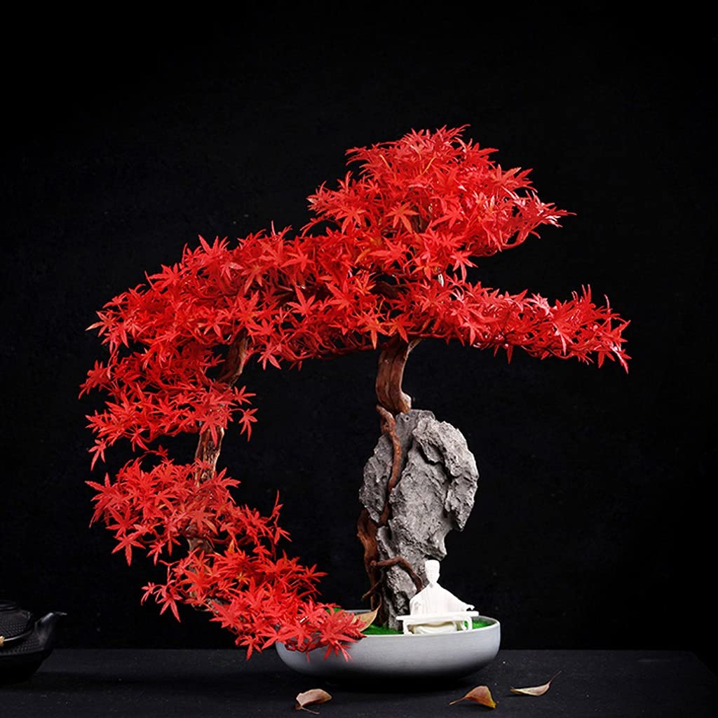Plante Artificielle Falaise Artificielle cyprès Bienvenue invités Songke Bonsaï Cliff Tissage Mural Rotant Rockery Podocarpus Maple Feuille de Salon Salon Zen Potoud Ornements Bonsai Artificiel