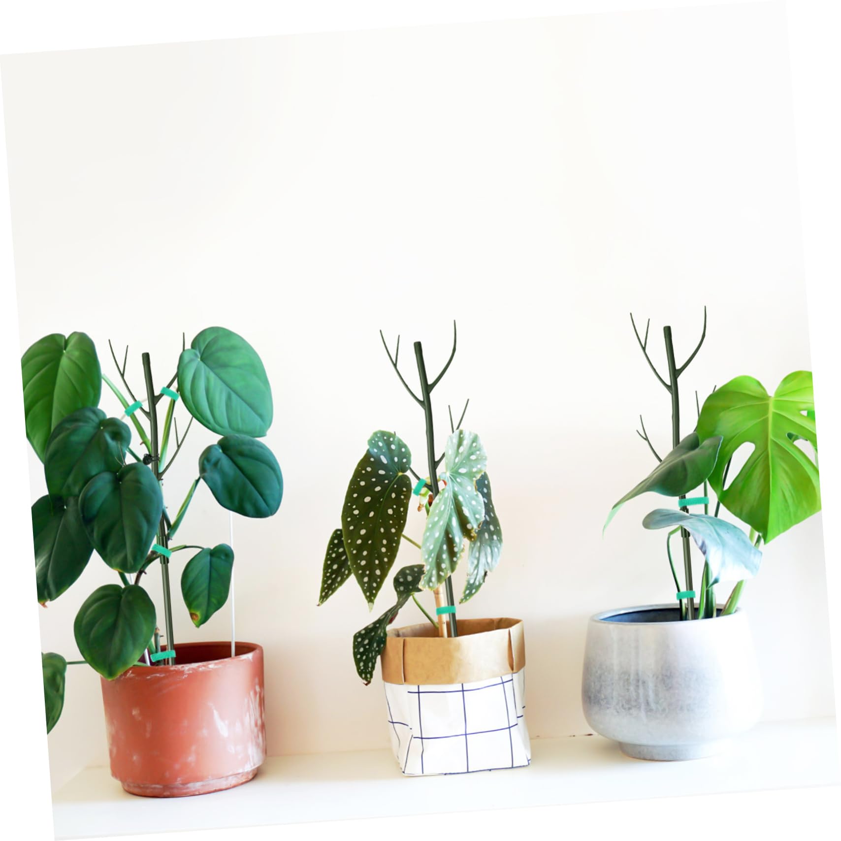 UKCOCO Tuteurs pour Plantes Monstera, 1 Set en Plastique Vert, Clips et Liens Torsadés, Support Solide pour Plantes Grimpantes, Intérieur et Jardin