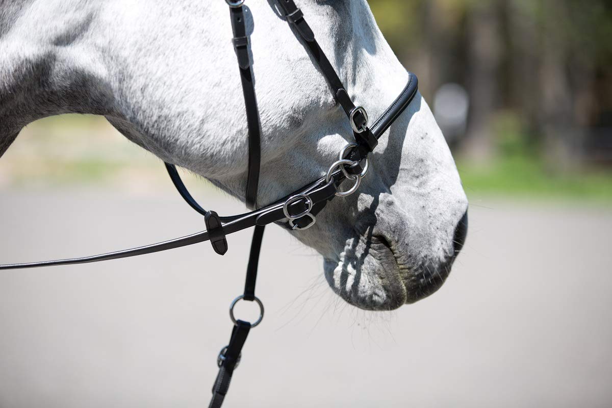 Horze Horse COB Black Bitless Leather English Bridle Headstall Reins
