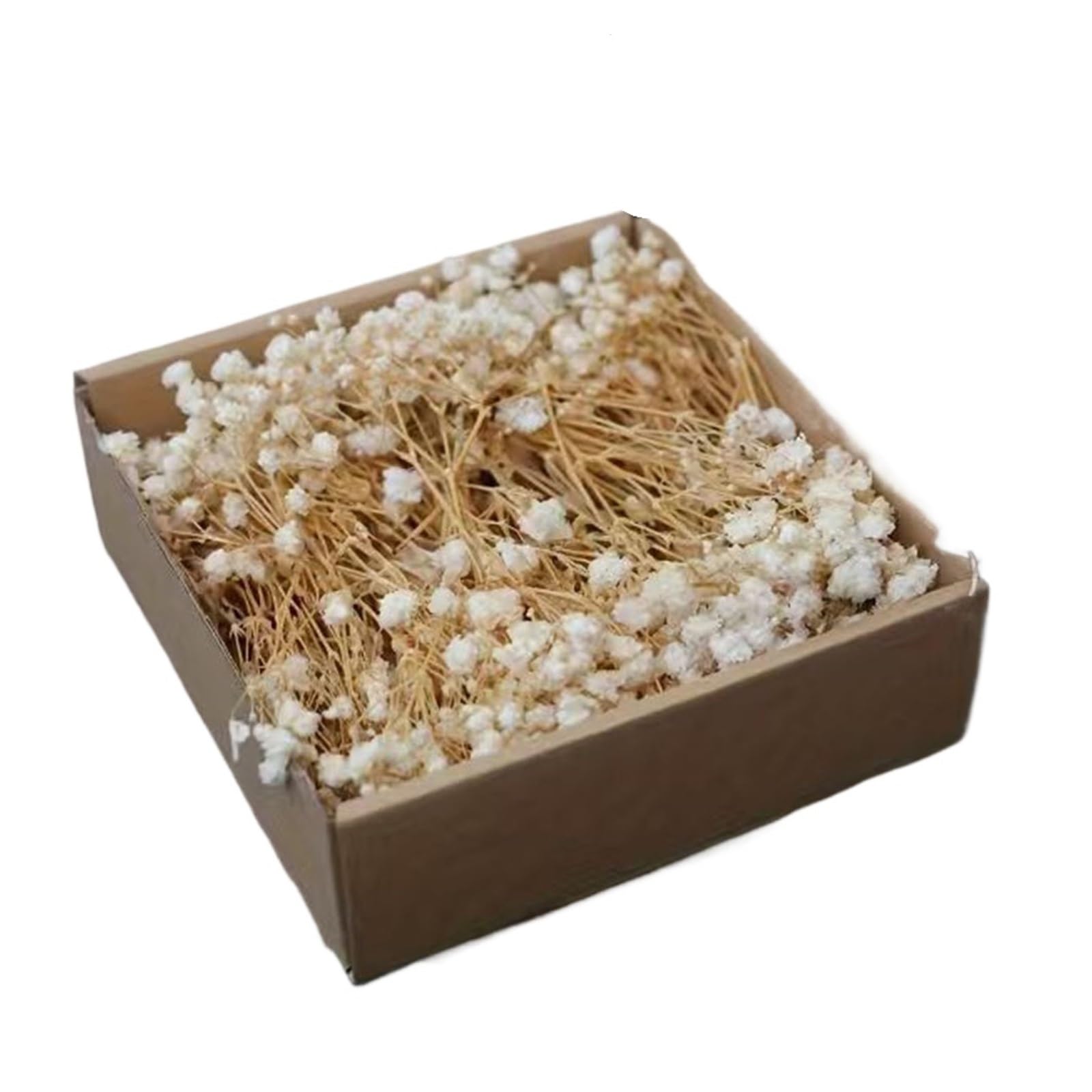 WJIAYAO dried gypsophila flowers 50Pcs Mini White Dried Baby's Breath Flowers Bouquet Small Bunch Gypsophila Bulk DIY Crafts Invitations Candle Making Home Decor(Beige)