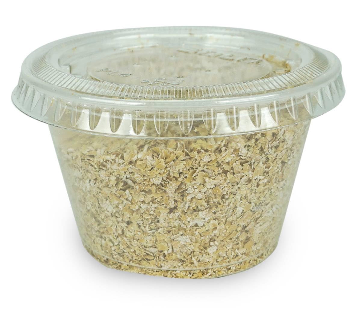 Josh's Frogs Butterworms (10 Count) for Reptiles, Amphibians, Insects & Arachnids