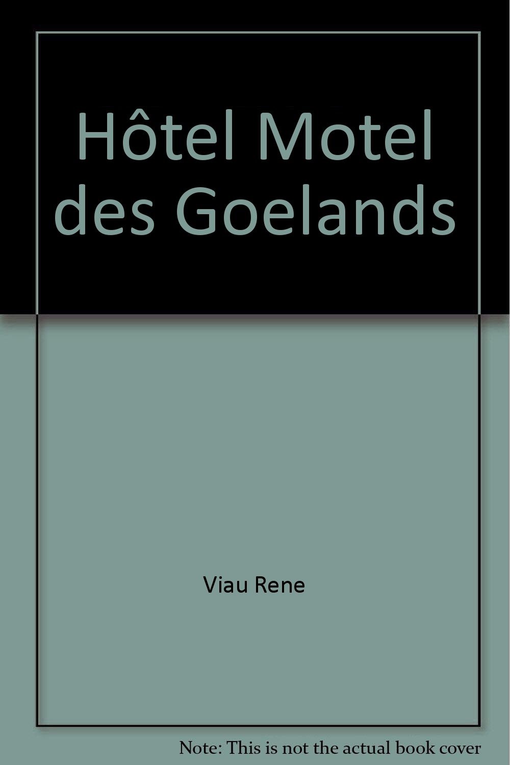HÔTEL-MOTEL LES GOÉLANDS [Paperback] VIAU,RENÉ