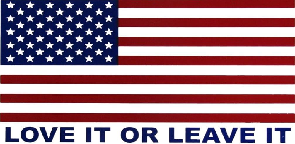 AES Industries Wholesale Lot of 6 Love It Or Leave It USA American Flag Decal Bumper Sticker