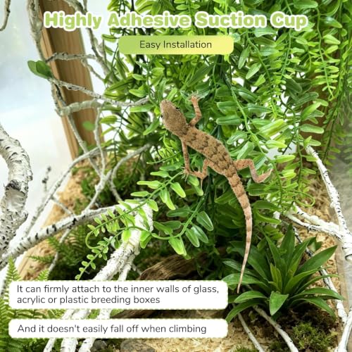 Image of PINVNBY Reptile Plants Hanging Fake Vines Boston Climbing Terrarium Plant with Suction CupA‚ for Bearded Dragons Lizards Geckos Snake Pets Hermit Crab and Tank Habitat Decorations-2pack