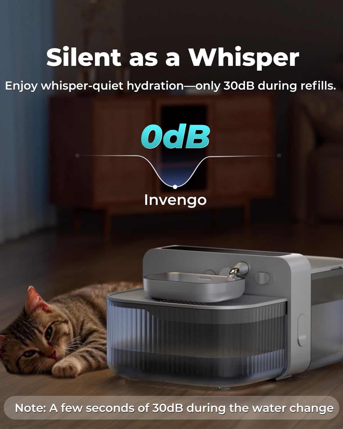 A cat sleeping peacefully next to the Invengo water fountain, highlighting its quiet operation