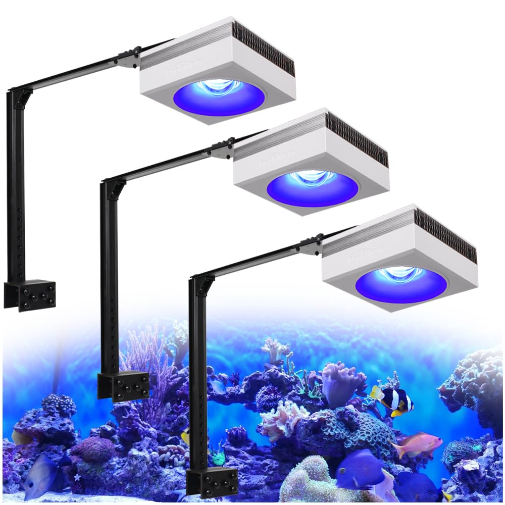 Amazon.com : PopBloom RL90 WiFi Reef LED Lights, 300W Reef