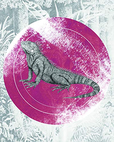 Komar Wandbild Von Iguana Circle | Poster, Bild, Wohnzimmer, Schlafzimmer, Dekoration, Kunstdruck | ohne Rahmen | P077C-40x50 fotomural, Cloruro de polivinilo (PVC), Schwarz, Weiß, Rot