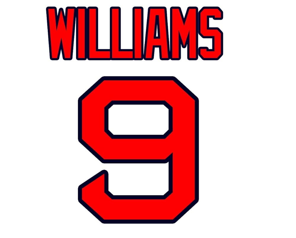 Amazon.com: Ted Williams Boston Red Sox Jersey Number Kit