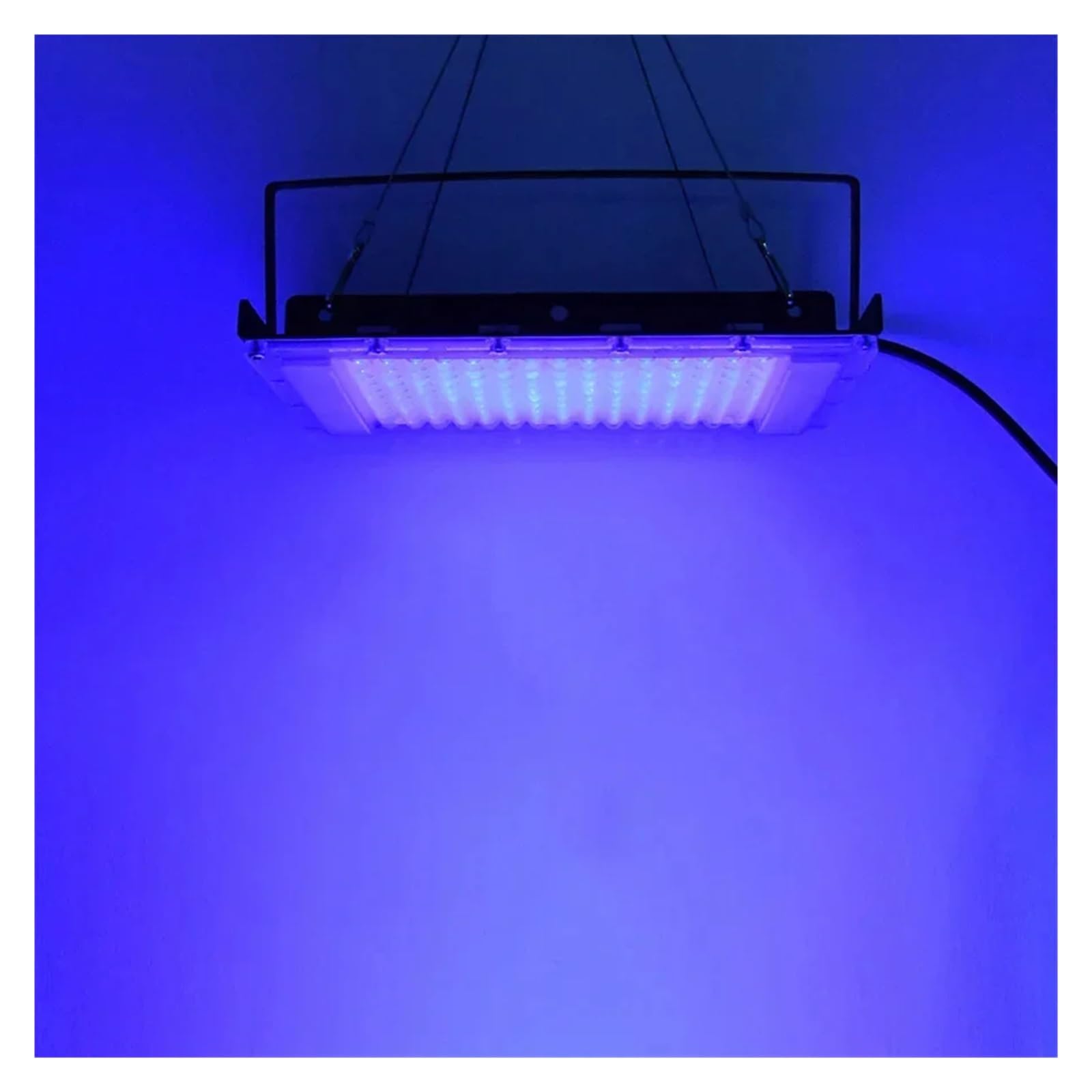 300W UV Flood Light 395nm Czarne światło na Halloween Glow Party Fluorescencyjny plakat Scena Disco Dance Akwarium Dekoracja(100W Type2)