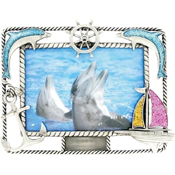 dolphins gear amazon