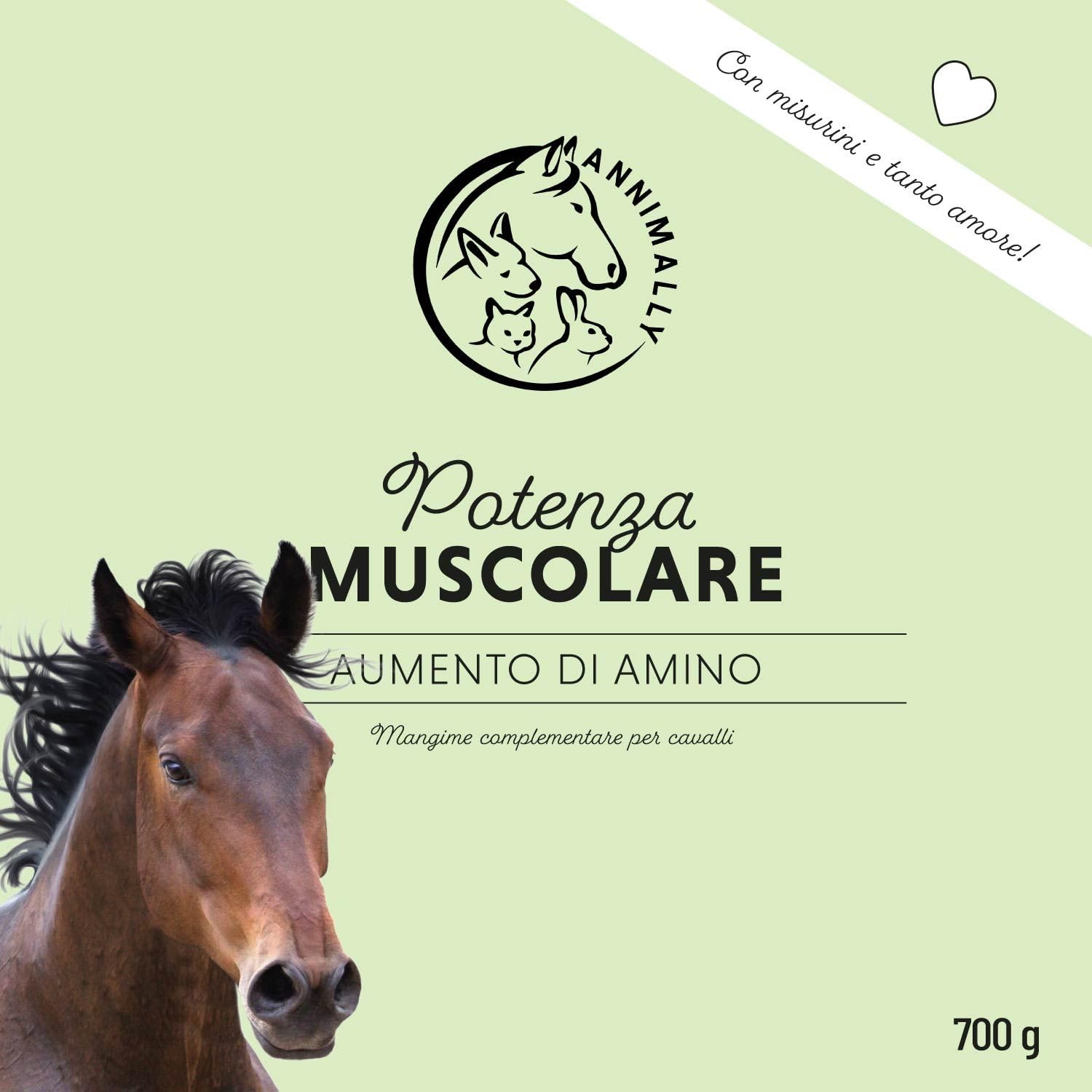 Polvere per lo sviluppo muscolare per cavalli da 700g con proteine della soia, lisina, carnitina, treonina, metionina - Integratore aminoacidico per il rafforzamento della muscolatura nei cavalli