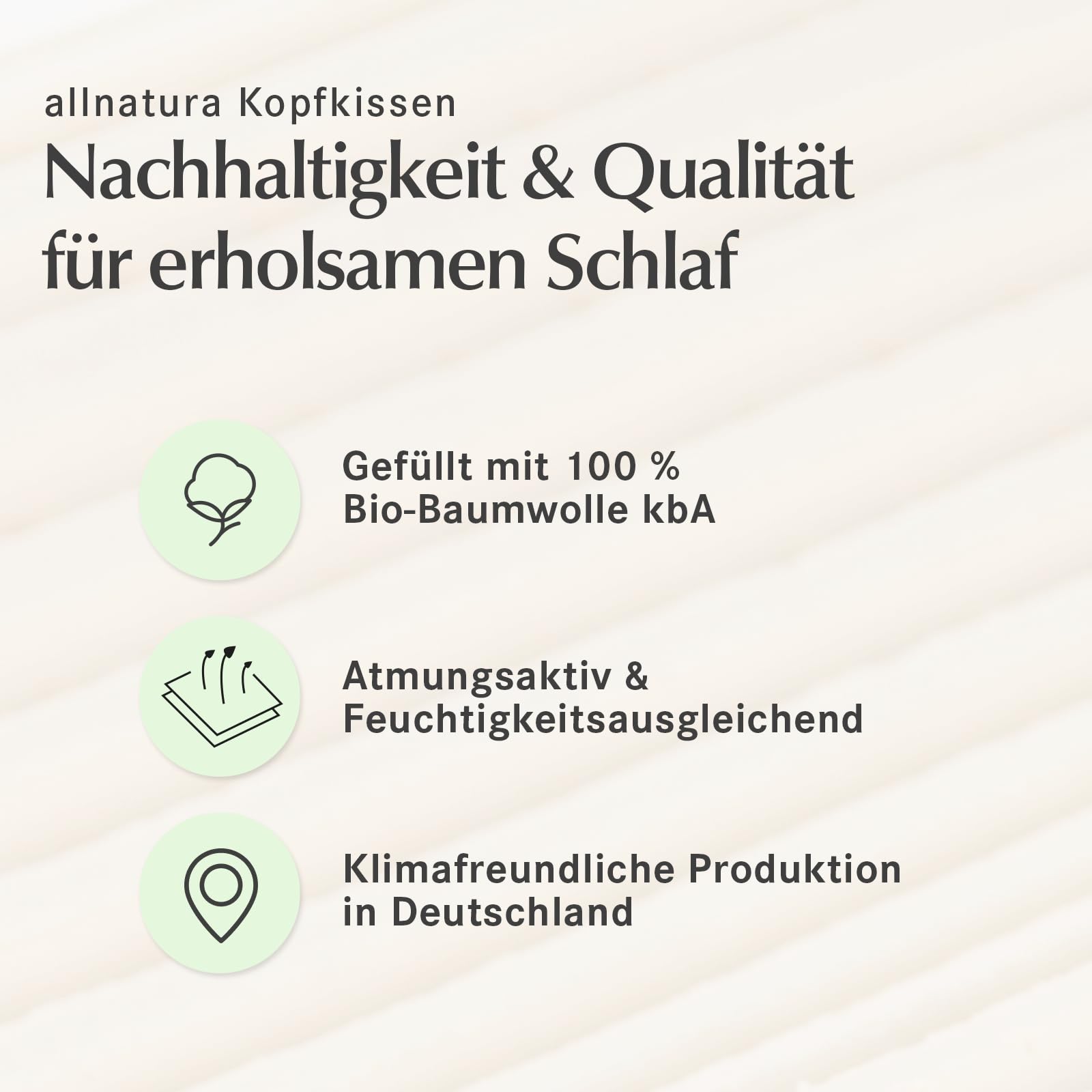 allnatura Baumwoll-Kopfkissen Cotona Basic - 100% Bio-Baumwolle ideal für Allergiker - Höhe anpassbar & maschinenwaschbar - Made in Germany (80x80 cm)