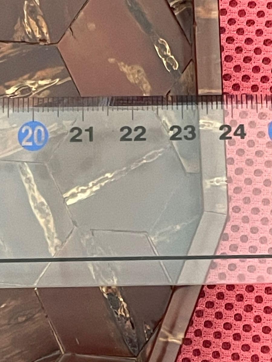 Cherry Blossom Bark Hexagon Basin Turtle Shell