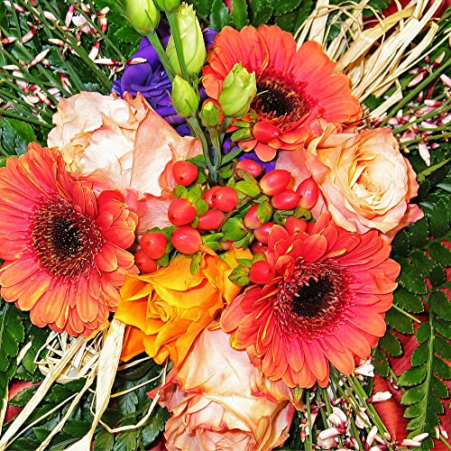 Com-four® Set di 4 Rotoli di Rafia - Rafia