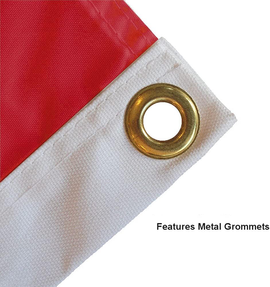 Tampa Bay Buccaneers 2 Time Champions 3x5 Flag - Image 6