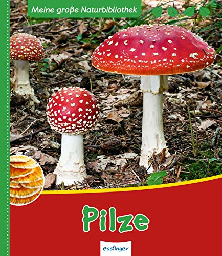 Pilze (Meine große Naturbibliothek, Band 23227)