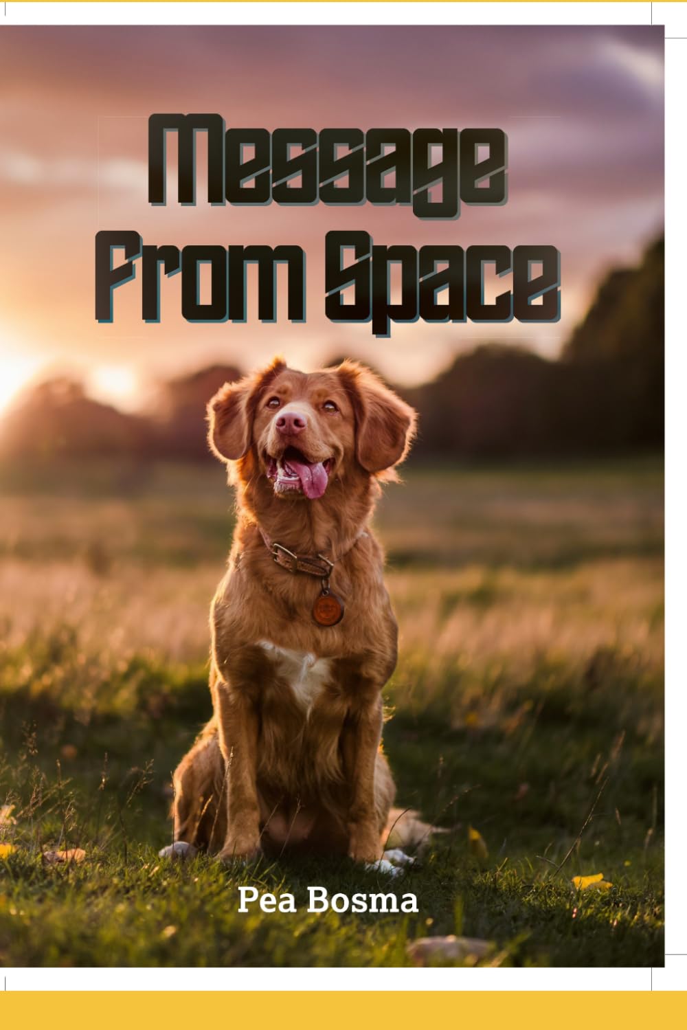 Message from Space