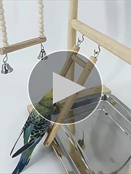 Amazon | インコ 遊び場、止まり木、二層設計、バードアスレチック