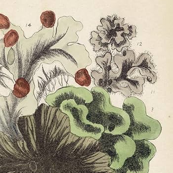 ヨーロピアンローズガーデン アンティーク 絵画 オパリンガラスの花模様のステンドグラス イギリスアンティーク