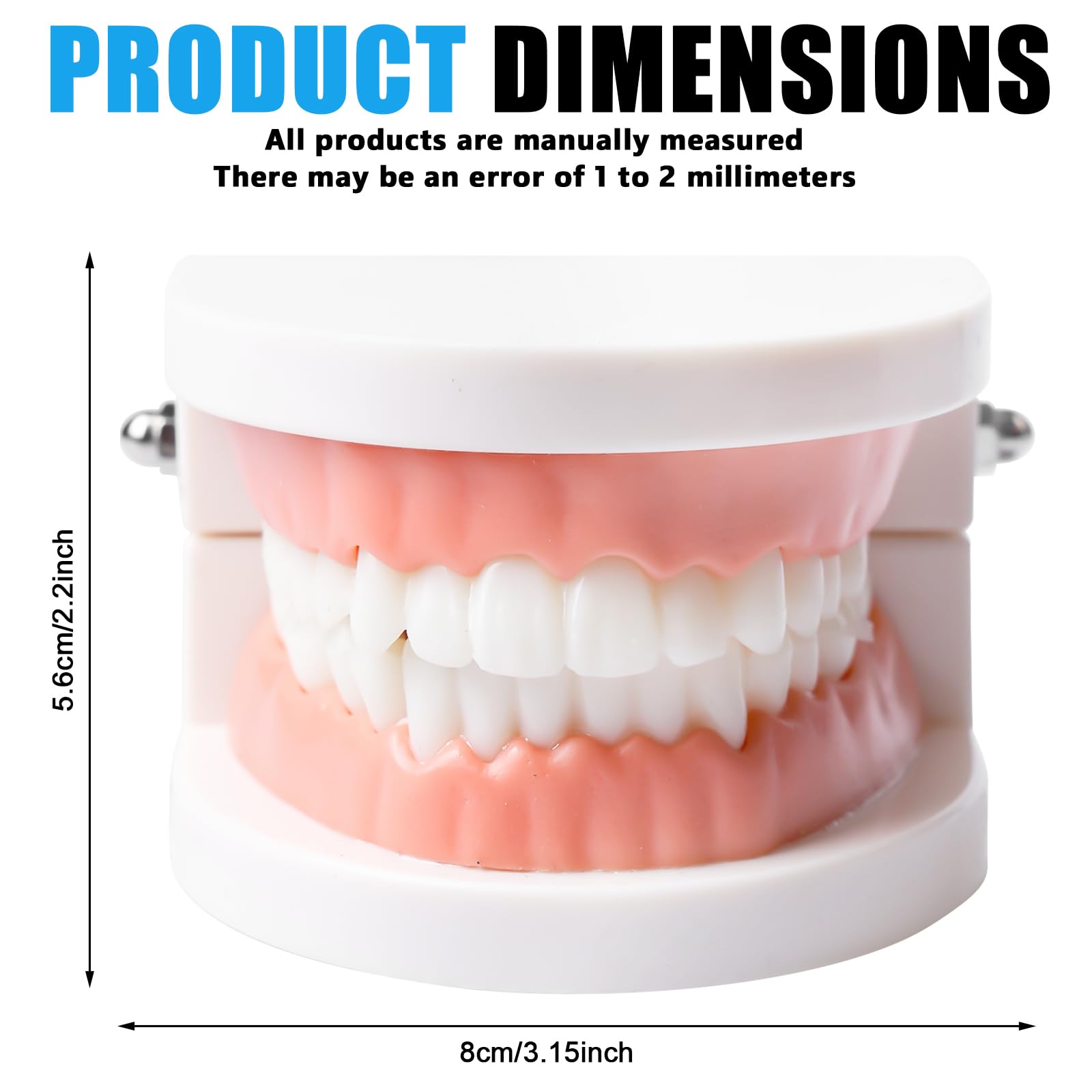 Zähne Dental Demonstrationsmodell, Mit 2 Zahnbürste, Gebiss Modell Demonstration Erwachsene Kinder, Zahnmodell Standard Teaching, Anatomisches Zahnmodell Für Zahnunterricht Oder Mundpflege