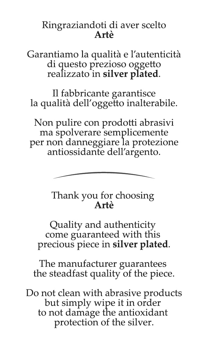 ARTÉ 18x24 Made in Italy, 25° ANNIVERSARIO di MATRIMONIO, elegante placcata in argento, Silver Plated antiossidante, Bellissima cornice in Silver Plated con retro in legno mogano E140.25°/18x24