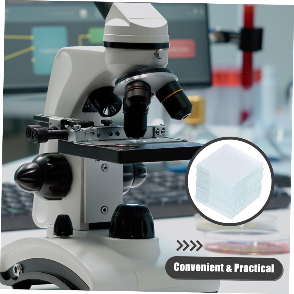 SOLUSTRE 1500pezzi Vetrini Microscopici Trasparenti Coprioggetti Per Preparazione Compatibili Microscopio