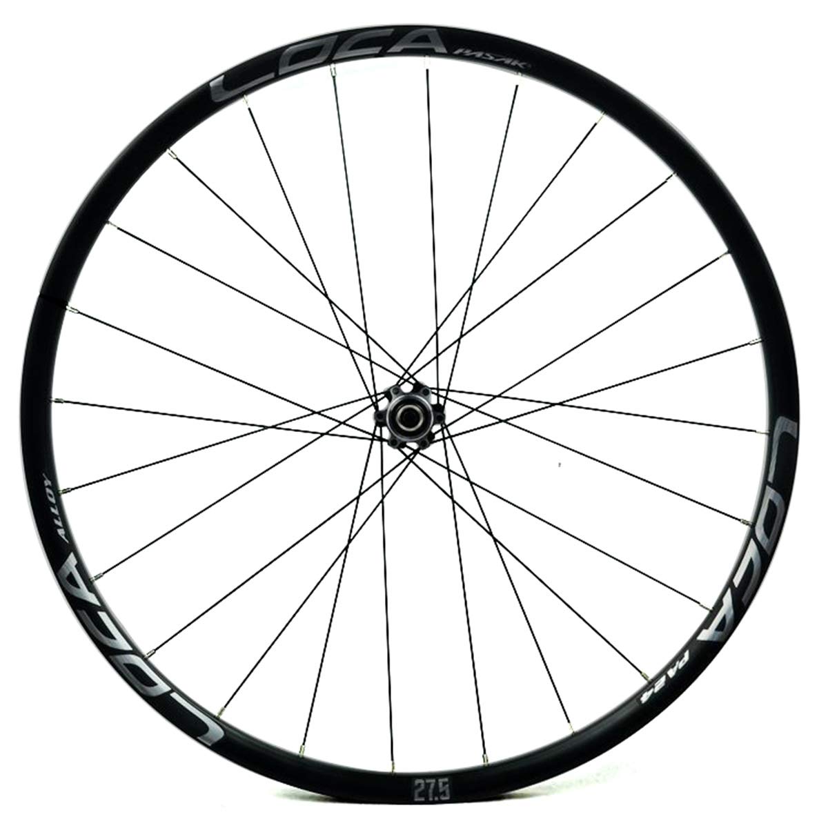 29er WTB ホイール ディスクブレーキ タイヤIRC インテッツオ MTB IRC 自転車タイヤ 29インチ W/O 700×50C 29×2.00 インテッツオ