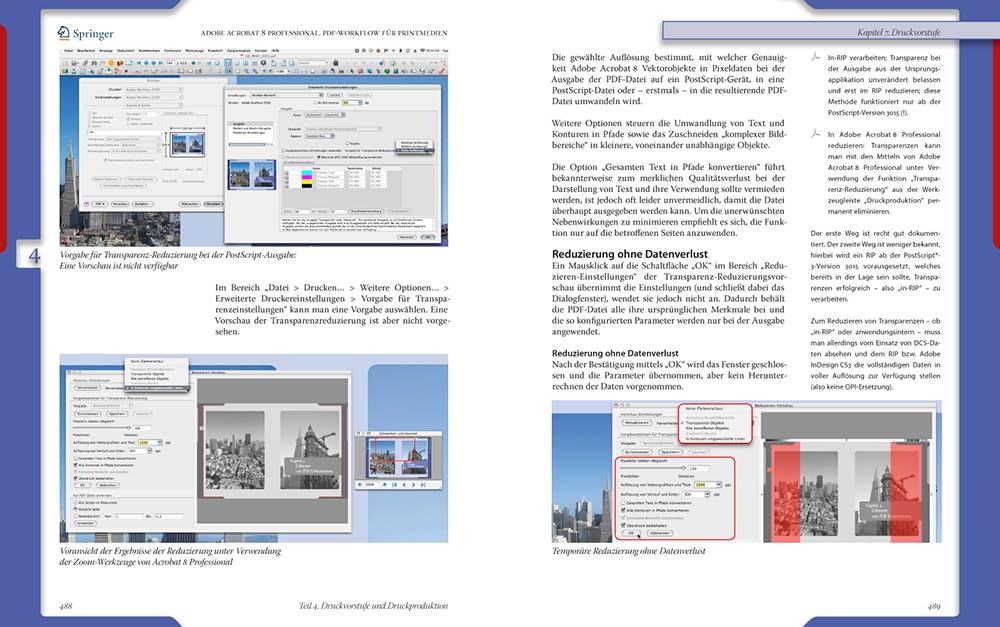 Adobe Acrobat® 8 Professional: PDF-Workflow für Printmedien (X.media.press)
