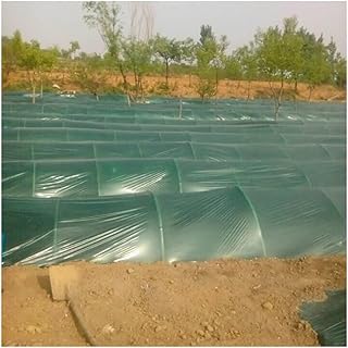JOSUR Película Verde Película de Invernadero agrícola, for plantación de Jengibre Vegetal Películas de mantillo Película de Cultivo Láminas for el Cuidado de Plantas jóvenes Ancho 1 m(5 Meters)