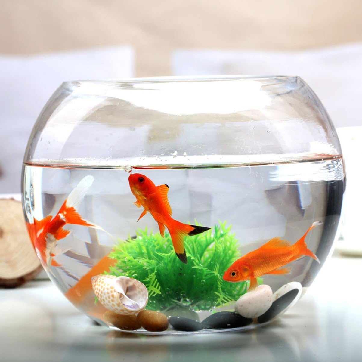 STOBOK Glass Fish Bowl for Small Fish Aquarium for Shrimp Turtle and Crab Desktop Office Decor Easy to Clean and Maintain