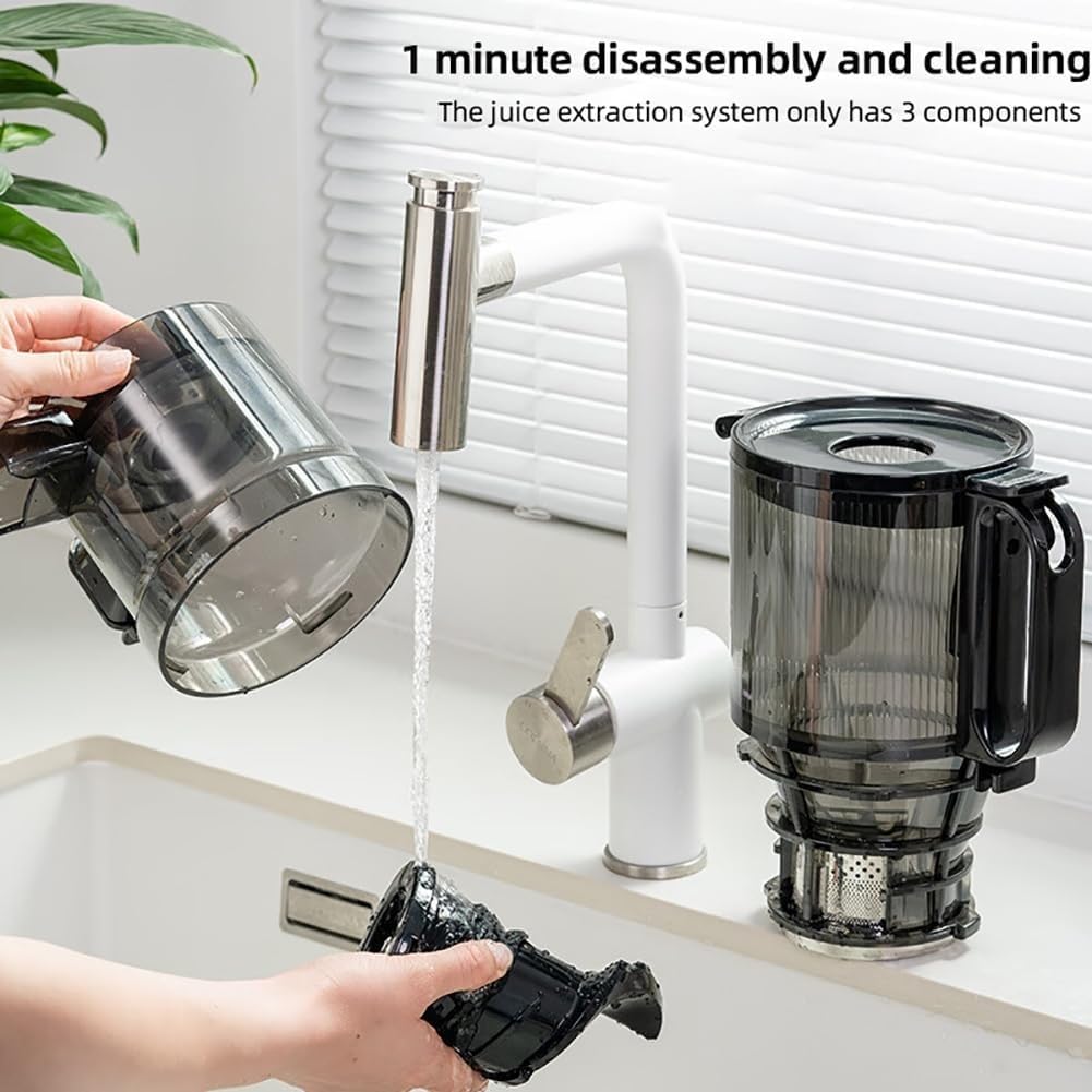 Extractor de Zumo Lento, Extractor de Zumo Separador de Orujo Portátil, Extractor de Zumo Prensado en Frío Profesional 300 W para Frutas y Verduras - Extractor de Zumo(Gray)