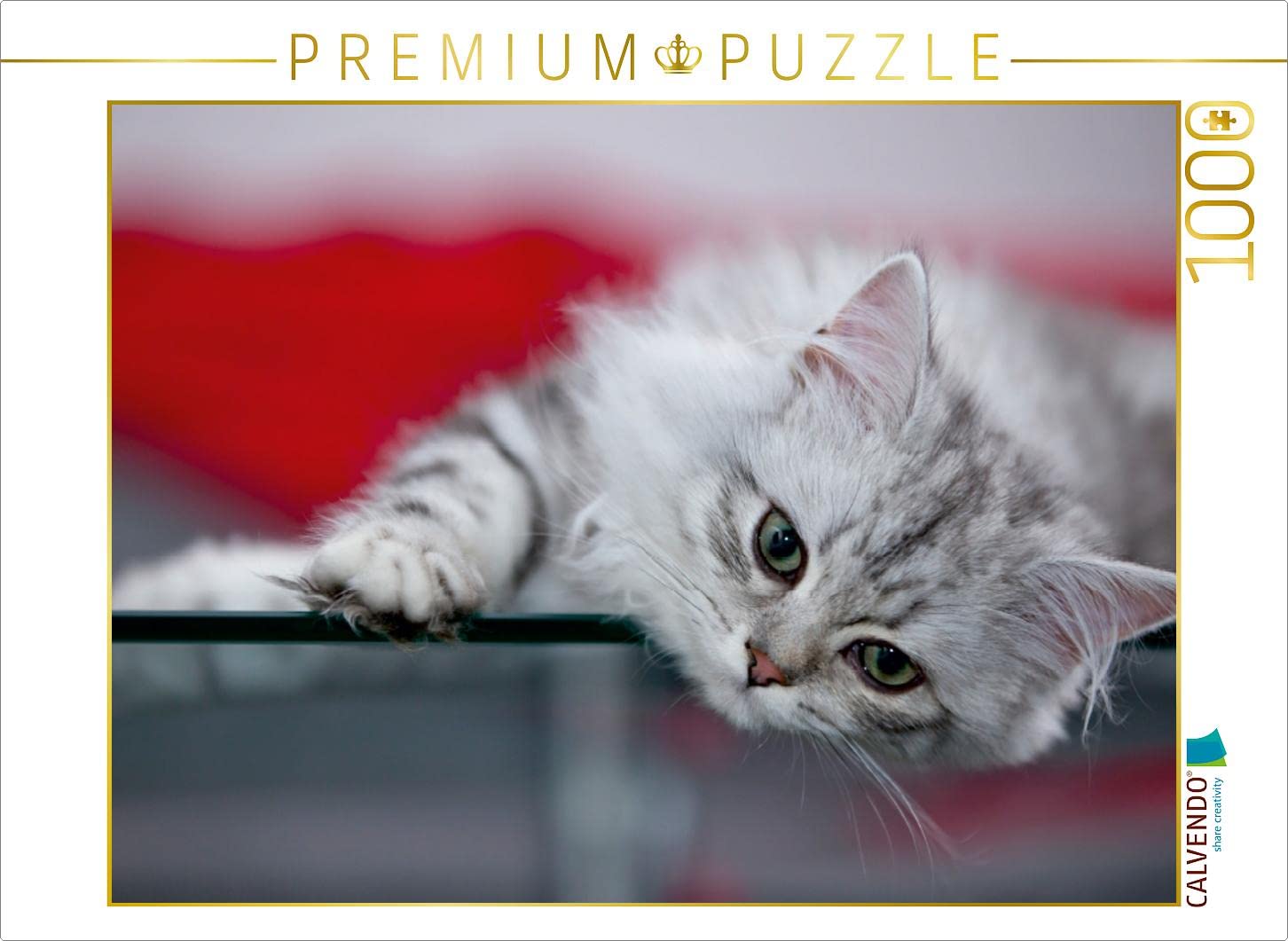 CALVENDO Puzzle Britisch Kurzhaar Katzenbaby 1000 Teile | Motivgröße 64x48 Cm | Hochwertiger Puzzlespaß
