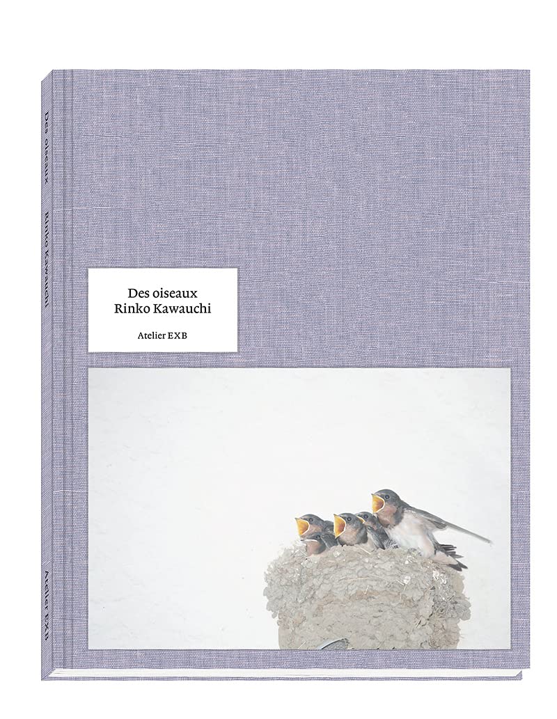 Des oiseaux Rinko Kawauchi beau livre photo pour votre salon