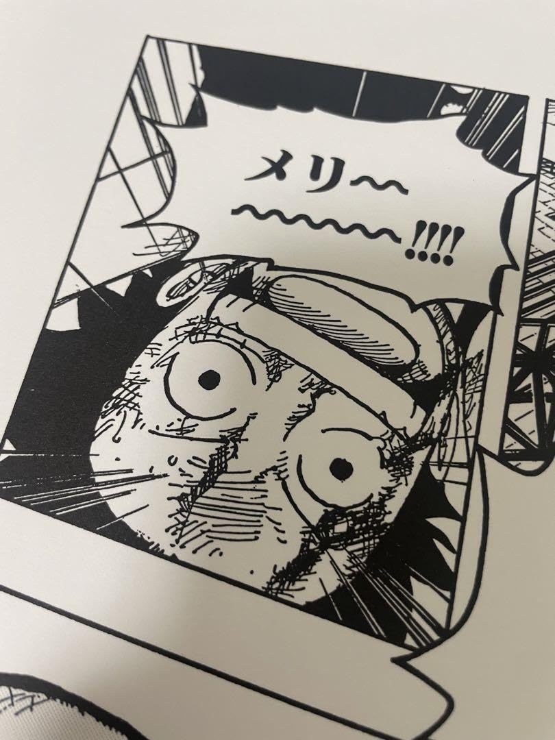 Amazon.co.jp: ONEPIECE 尾田栄一郎 サイン NFT メリー号名シーン 