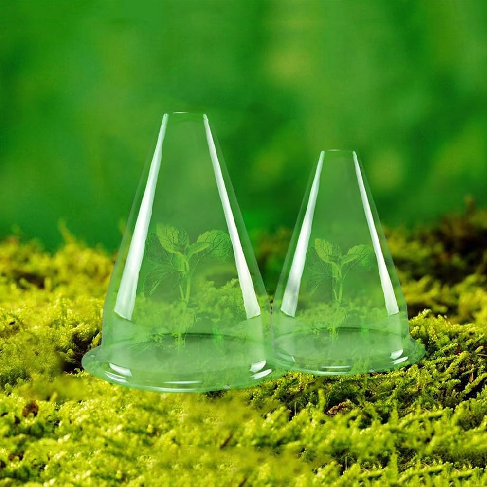 Lot de 12 cloches de protection pour plantes, vertes et transparentes, cloches de jardin pour plantes, dômes réutilisables